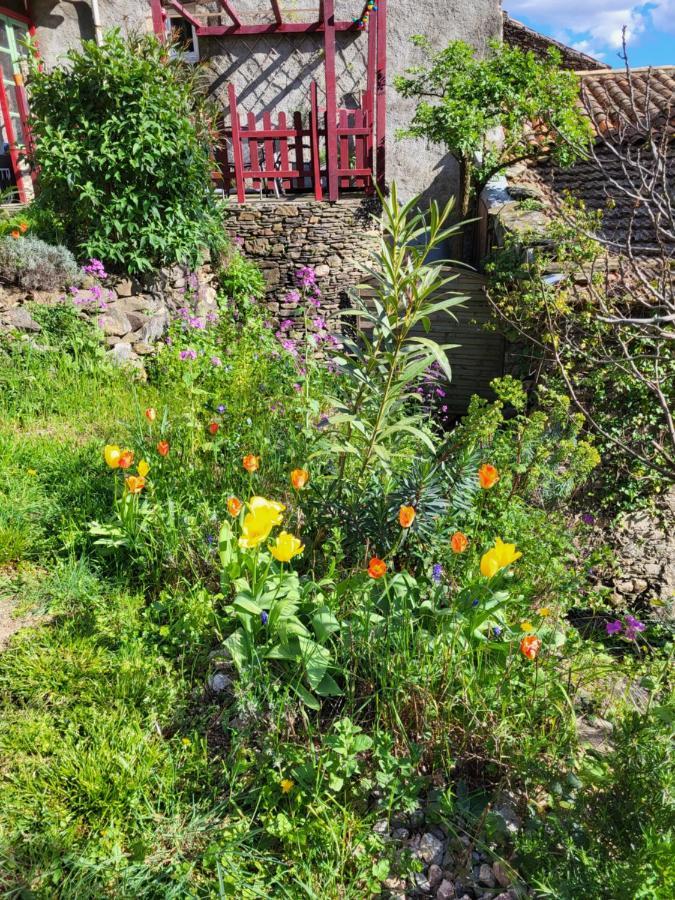 Gites Chez Daniel "Cevennes 1" Mars  Exterior photo
