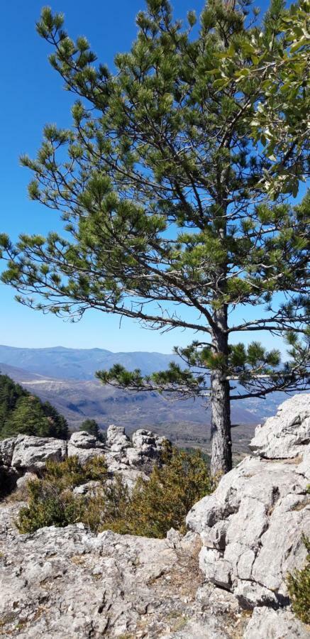 Gites Chez Daniel "Cevennes 1" Mars  Exterior photo
